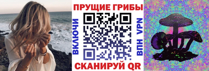 Псилоцибиновые грибы Psilocybe  Ачинск 