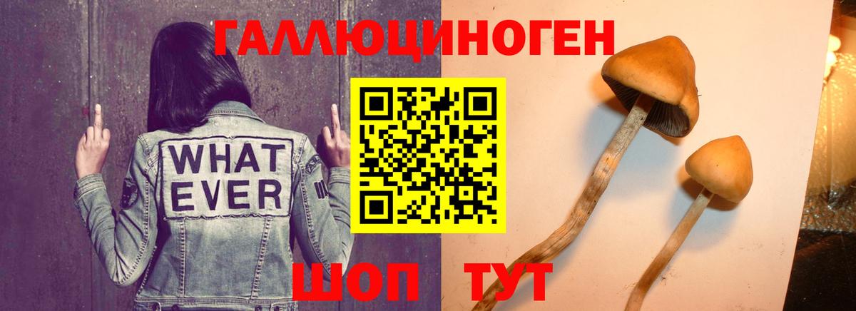 Галлюциногенные грибы MAGIC MUSHROOMS  Вход с VPN  Ачинск 