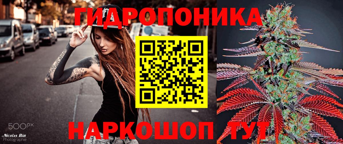 Бошки Шишки марихуана  Ачинск  Канабис AK-47  Бошки Шишки OG Kush 